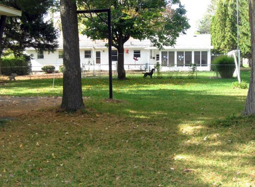 Backyard - 3 Bedroom Ranch on 2 Wooded Acres